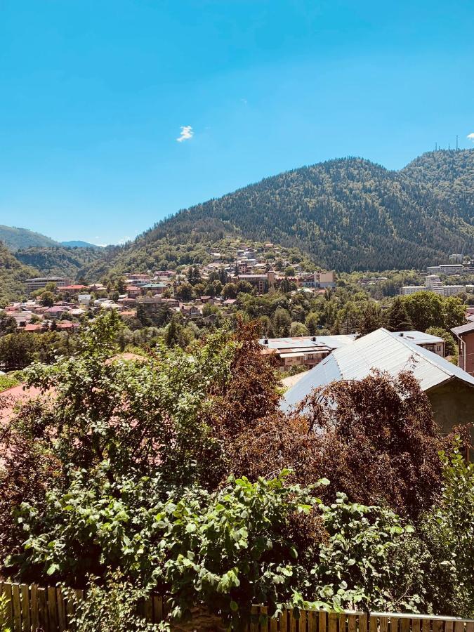 Ano'A Lägenhet Borjomi Exteriör bild